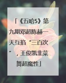 《五哈5》第九期邓超陈赫一天互掐“三百次”，王俊凯韭菜舞超魔性