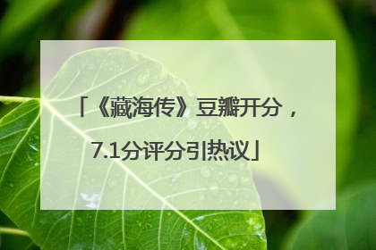 《藏海传》豆瓣开分，7.1分评分引热议