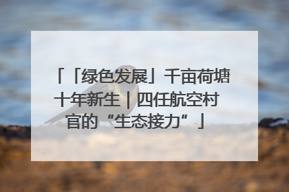 「绿色发展」千亩荷塘 十年新生｜四任航空村官的“生态接力”