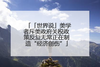 「世界说」美学者斥美政府关税政策反复无常正在制造“经济创伤”