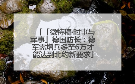 「微特稿·时事与军事」德国防长：德军需增兵多至6万才能达到北约新要求