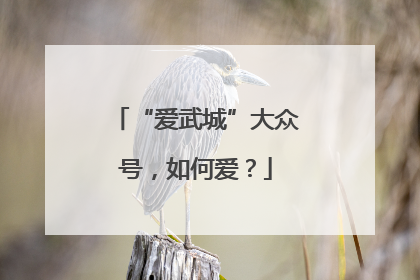 “爱武城”大众号，如何爱？