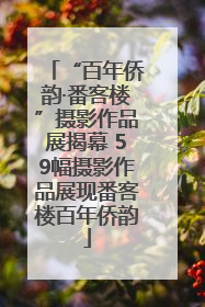 “百年侨韵·番客楼”摄影作品展揭幕 59幅摄影作品展现番客楼百年侨韵