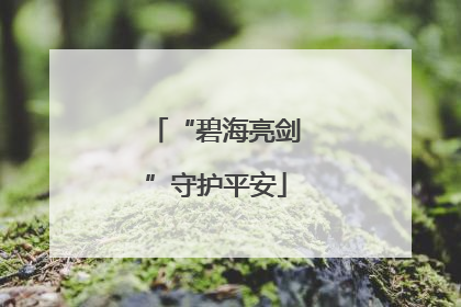“碧海亮剑”守护平安