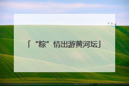 “粽”情出游黄河坛