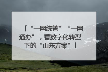 “一网统管”“一网通办”，看数字化转型下的“山东方案”