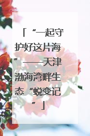 “一起守护好这片海”——天津渤海湾畔生态“蜕变记”