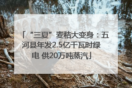 “三夏”麦秸大变身：五河县年发2.5亿千瓦时绿电 供20万吨蒸汽