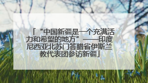 “中国新疆是一个充满活力和希望的地方”——印度尼西亚北苏门答腊省伊斯兰教代表团参访新疆