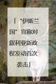 “伊斯兰国”宣称对叙利亚新政权发动首次袭击