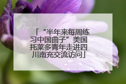 “半年来每周练习中国曲子”美国托莱多青年走进四川南充交流访问