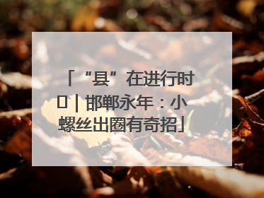 “县”在进行时⑬｜邯郸永年：小螺丝出圈有奇招