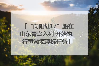 “向阳红17”船在山东青岛入列 开始执行黄渤海浮标任务