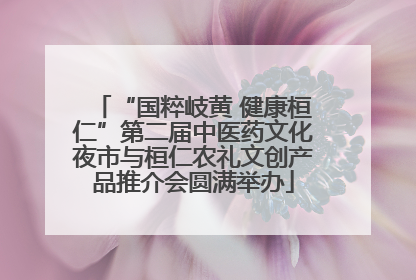 “国粹岐黄 健康桓仁”第二届中医药文化夜市与桓仁农礼文创产品推介会圆满举办