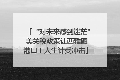 “对未来感到迷茫” 美关税政策让西雅图港口工人生计受冲击