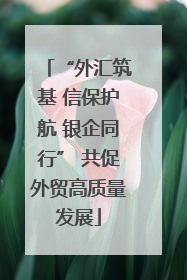 “外汇筑基 信保护航 银企同行” 共促外贸高质量发展