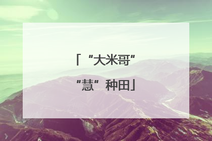 “大米哥”“慧”种田