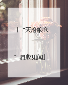 “天府粮仓”夏收见闻