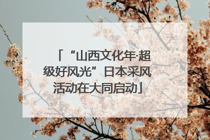 “山西文化年·超级好风光”日本采风活动在大同启动