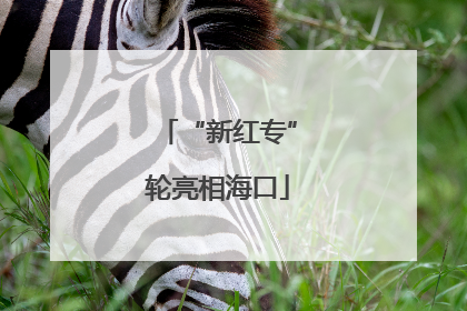 “新红专”轮亮相海口