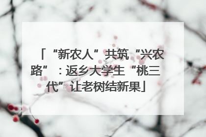 “新农人”共筑“兴农路”：返乡大学生“桃三代”让老树结新果