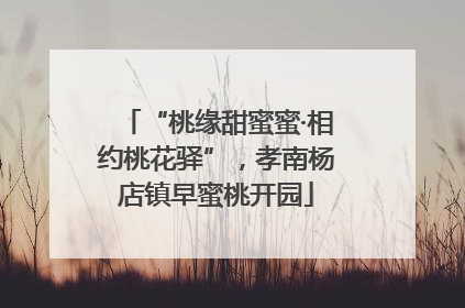 “桃缘甜蜜蜜·相约桃花驿”，孝南杨店镇早蜜桃开园