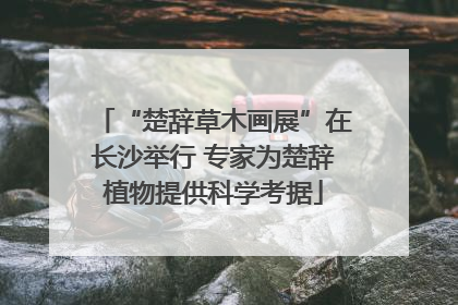 “楚辞草木画展”在长沙举行 专家为楚辞植物提供科学考据