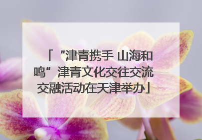 “津青携手 山海和鸣”津青文化交往交流交融活动在天津举办