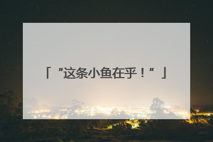 “这条小鱼在乎！”