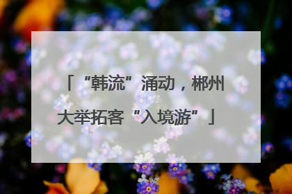 “韩流”涌动，郴州大举拓客“入境游”
