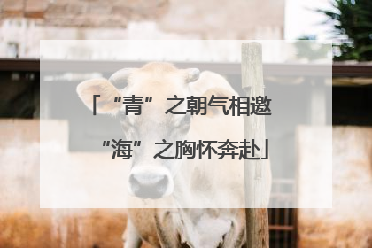 “青”之朝气相邀 “海”之胸怀奔赴