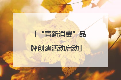 “青新消费”品牌创建活动启动