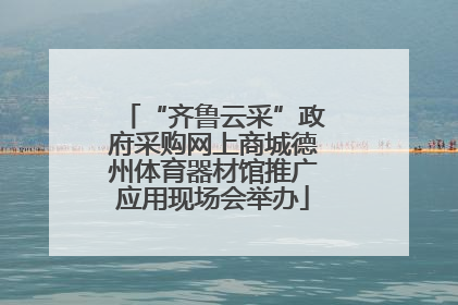 “齐鲁云采”政府采购网上商城德州体育器材馆推广应用现场会举办