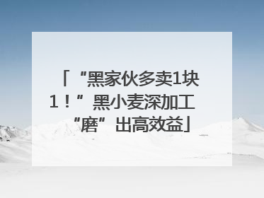 “黑家伙多卖1块1！”黑小麦深加工“磨”出高效益