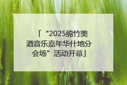“2025绵竹美酒音乐嘉年华什地分会场”活动开幕