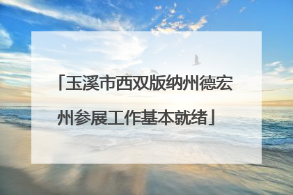 玉溪市西双版纳州德宏州参展工作基本就绪