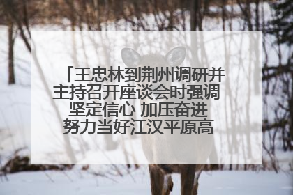 王忠林到荆州调研并主持召开座谈会时强调 坚定信心 加压奋进 努力当好江汉平原高质量发展排头兵