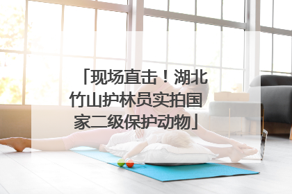 现场直击！湖北竹山护林员实拍国家二级保护动物