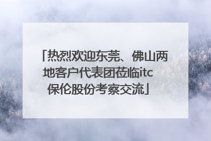 热烈欢迎东莞、佛山两地客户代表团莅临itc保伦股份考察交流