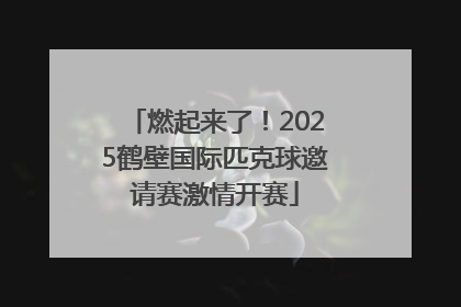 燃起来了！2025鹤壁国际匹克球邀请赛激情开赛