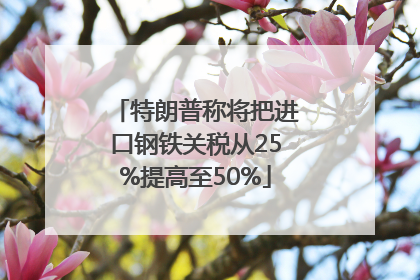 特朗普称将把进口钢铁关税从25%提高至50%