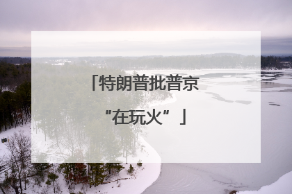 特朗普批普京“在玩火”