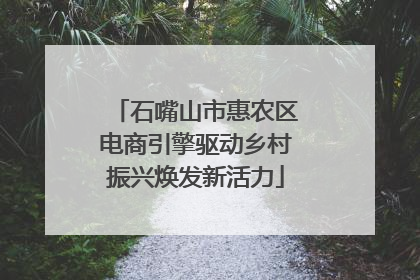 石嘴山市惠农区电商引擎驱动乡村振兴焕发新活力