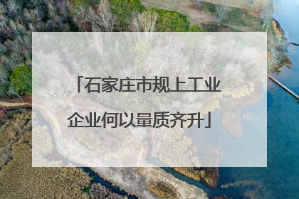 石家庄市规上工业企业何以量质齐升