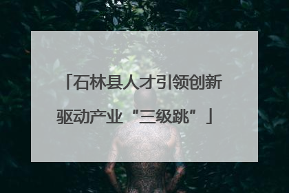 石林县人才引领创新驱动产业“三级跳”