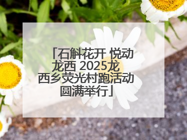 石斛花开 悦动龙西 2025龙西乡荧光村跑活动圆满举行