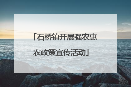 石桥镇开展强农惠农政策宣传活动