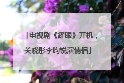电视剧《耀眼》开机，关晓彤李昀锐演情侣