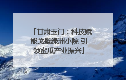 甘肃玉门：科技赋能戈壁绿洲小院 引领蜜瓜产业振兴