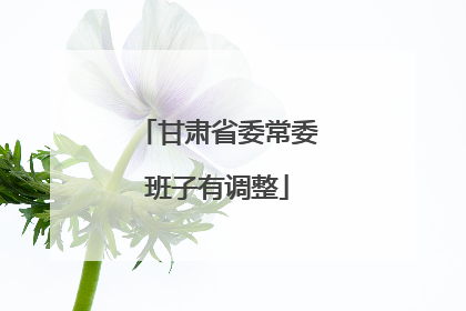 甘肃省委常委班子有调整